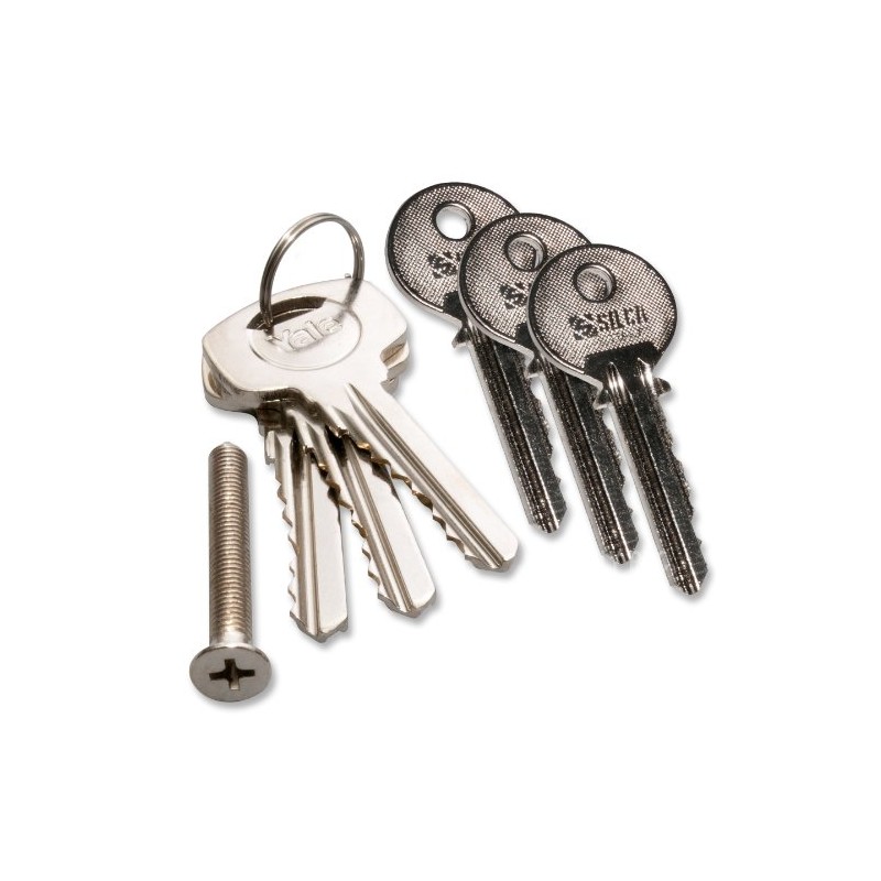 Yale Anti-Bump Euro Cylinder Polished Brass 45/50 (95mm Overall) Lock