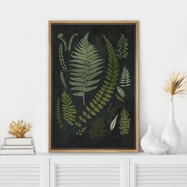 SIGNWIN Framed Canvas Print Wall Art Contemporary Botanical Fern Stylish Dark Floral Illustration for Living Room, Bedroom, Office - 16"x24" Natural