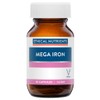 Ethical Nutrients Megazorb Mega Iron With Activated B's 30 Caps