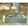 Birds Choice GSHPF100 Hanging Tray Feeder, Small