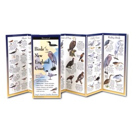 Earth Sky + Water FoldingGuide - Birds of the New England Coast - 10 Panel Foldable Waterproof Nature Identification Guide