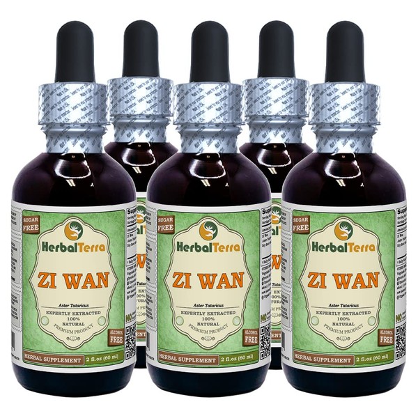 Zi Wan, Purple Aster (Aster Tataricus) Glycerite, Organic Dried Root Powder Alcohol-Free Liquid Extract (Brand Name: HerbalTerra, Proudly Made in USA) 5x2 fl.oz (5x60 ml)