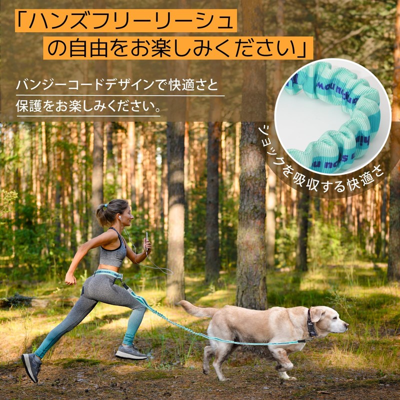 JC HOUSE 5218 Leash for Medium Dogs, Large Dogs, Running
