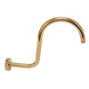 Stainless Steel S Shaped Raised Shower Arm and Flange NPT