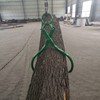 Timber Claw Hook, 18in - Log Lifting Tongs Heavy Duty