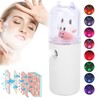 Nano Facial Mister Face Mist, Nano Face Mist Sprayer Skin