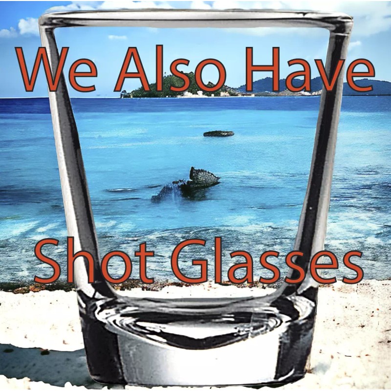 Unmarked Present Wine Glasses x4 Premium 12 Oz Personalize Gift