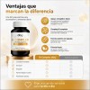 Complejo Vitaminas Grupo 500 Por Cápsula