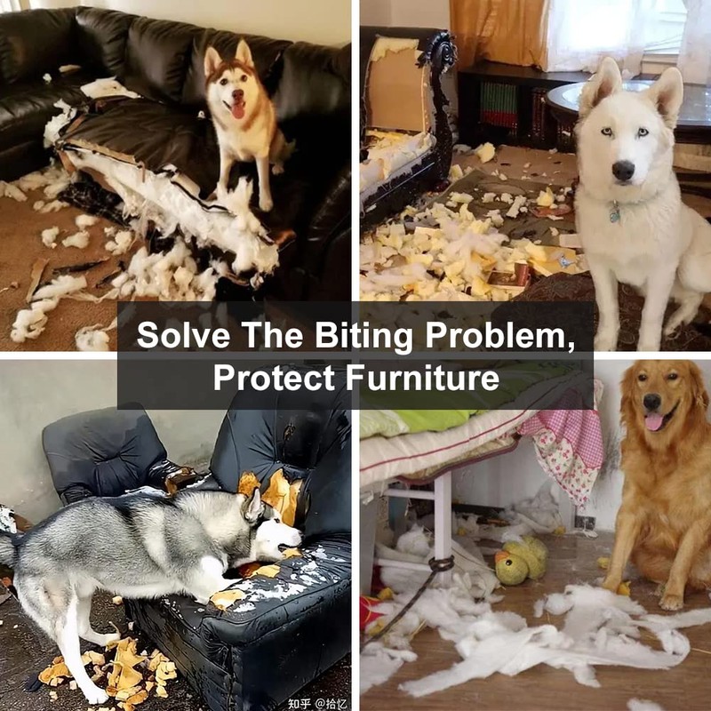 Professional Dog Bite Training Set 3 in 1 Dog Bite