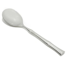 Fortessa Royal Pacific 18/10 Stainless Steel Flatware Serving Spoon, 10-Inch,Silver