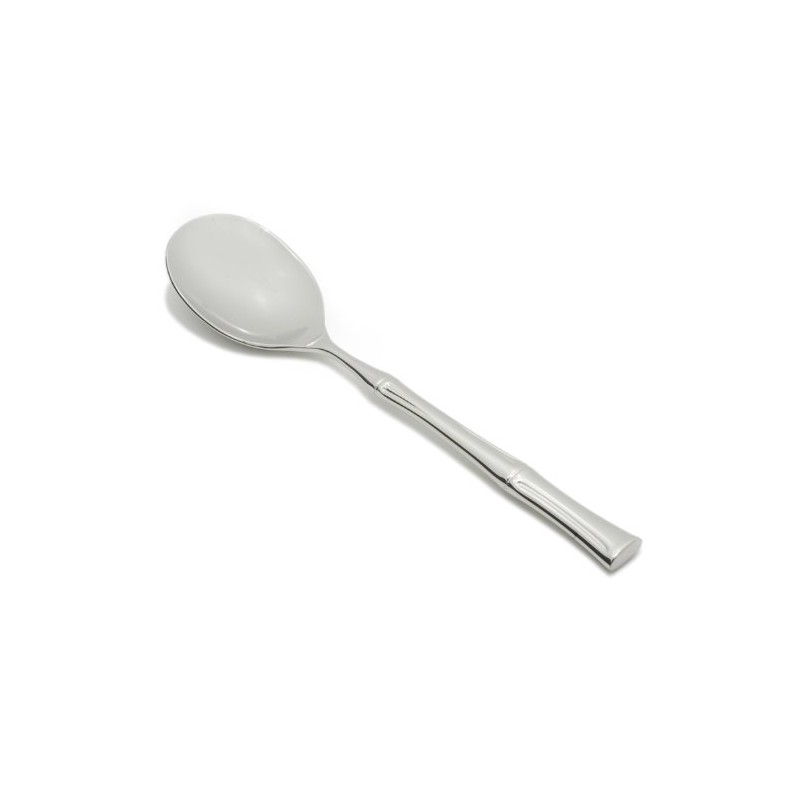 Fortessa Royal Pacific 18/10 Stainless Steel Flatware Serving Spoon, 10-Inch,Silver