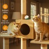 Pawith Cat Calming Diffuser – for Travel, Car & Home