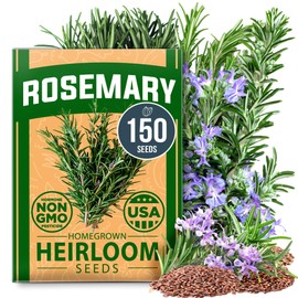 HOME GROWN HOME GROWN Rosemary Seeds Bulk Pack - 150 High Germinating Non-GMO Heirloom Culinary Herb Seeds for Planting in Indoor or Outdoor Herb Gardens - USA Sourced (Salvia rosmarinus)