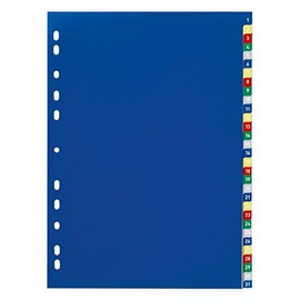 Durable 675627 Numerical Index File with Colour Tabs 1-31 and Universal Hole Punching Assorted Colours
