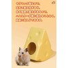 Hamster House, Pottery, Hamster Bed, Hideaway, Cool, Summer, Cooling, Cooling