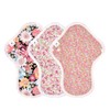 Cloth Napkins NO 6 Organic Cotton 3 Piece Set v13