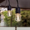 Feit Electric LED String Lights Amber 24 ft. 12 Lights