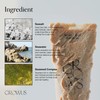 GROWUS [GROWUS]Sea Salt Therapy Scalp Scaler 250g