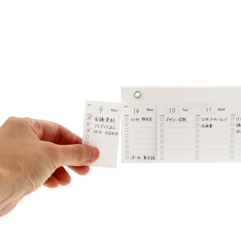 sansuta-文具 Memo raitexia Week Memo