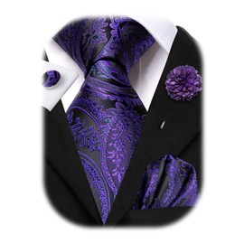 Hi-Tie Ties for Men Pocket Square Cufflinks Lapel Pin Mens Tie set Formal Wedding Business,Black Purple Paisley