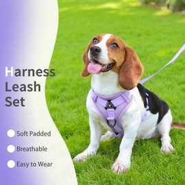 Jolifield No Pull Dog Harness with Leash Set for Small Sized Dog, Reflective Adjustable No Choke Front Clip Cat Vest Harness with Breathable Mesh, Comfortable Soft Padded Pet Vest, Purple S