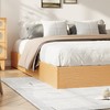 GarveeHome Twin Size Wood Platform Bed Frame,Wooden Bed Frame Without