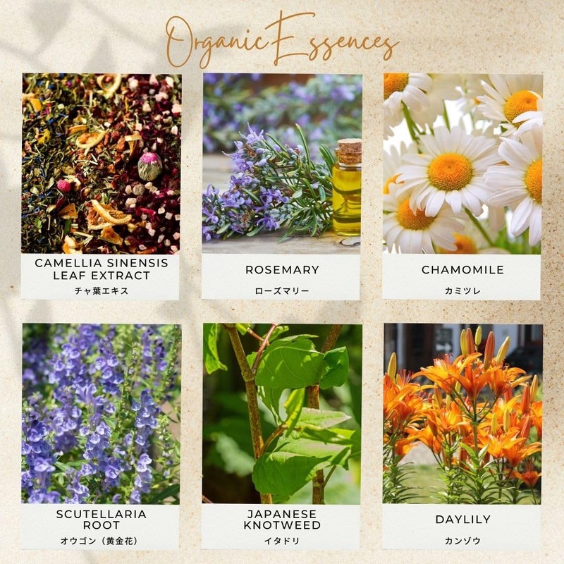 Soari Cosmetics Face Pack Hajimari Organic Essence Mask CICA Individual