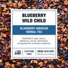 Tiesta Tea - Blueberry Wild Child | Blueberry Hibiscus Herbal