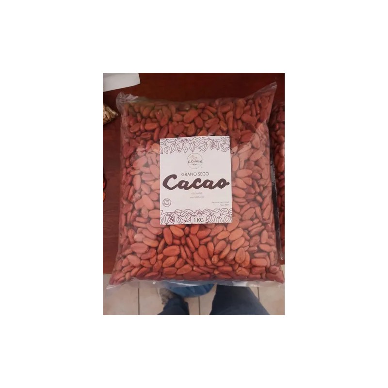 Cacao Seco En Grano 10 Kg De Chiapas