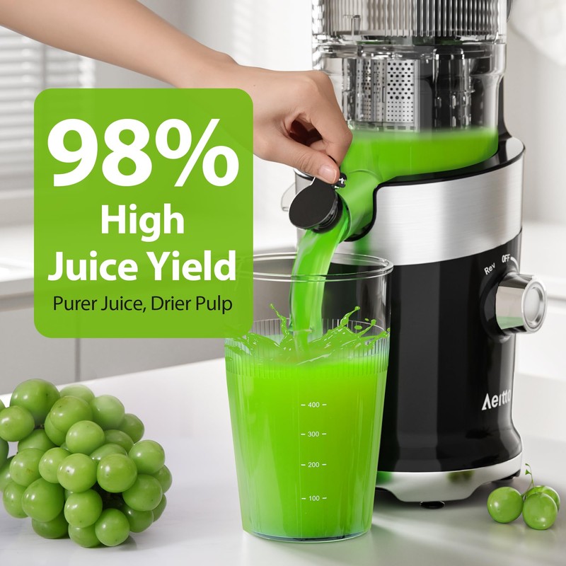 Juicer Machines Cold Pressed Easy to Clean with Brush