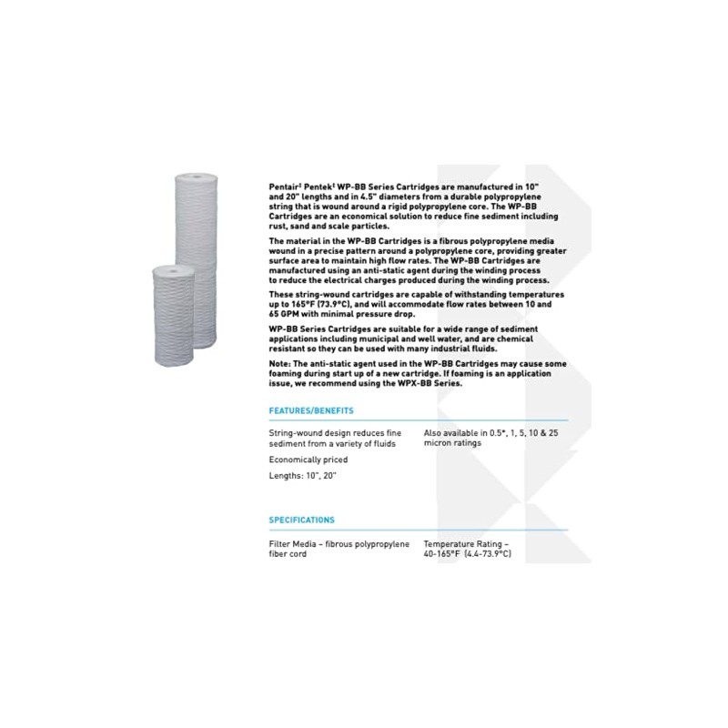 Pentair Pentek WP25BB20P Big Blue Sediment Water Filter, 20-Inch, Whole
