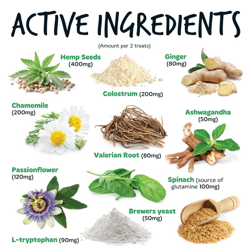 BUGALUGS BUGALUGS Calming Treats for Dogs - Helps Stress, Fear,