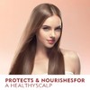 ECOLCHIPRO Collagen Shea Burtter Shampoo Herbal Extract Moisture Deep Repair