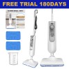 DAYPLUS 2025 Steam Mop Cleaner All in 1 Floor Carpet