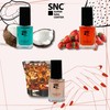 SNC Supra Nail Oil Set 6 x 12 ml -
