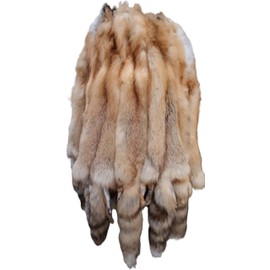 Dakotaline Furs Natural Genuine Red Fox Pelt/Hide 44"-48" Length (Damaged Grade) Winter Heavy Fur Tanned for Display, Decoration, Sewing, Garment, Craft