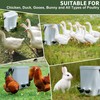 Chicken Water Cups 12pcs - Automatic Filling Waterer Feeder, Gravity