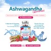 Ashwagandha Gummies - 60 Natural Raspberry Flavoured Chewable & Yummy