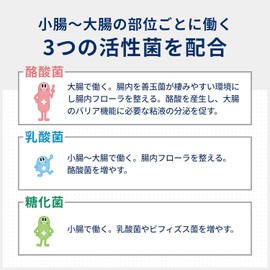 Biosley H Powder (36 Packets) – Probiotic Intestinal Support for Ages 3 Months+