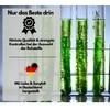 EXVital Omega 3 from Algae Oil, Vegan, 120 Softgel Capsules,