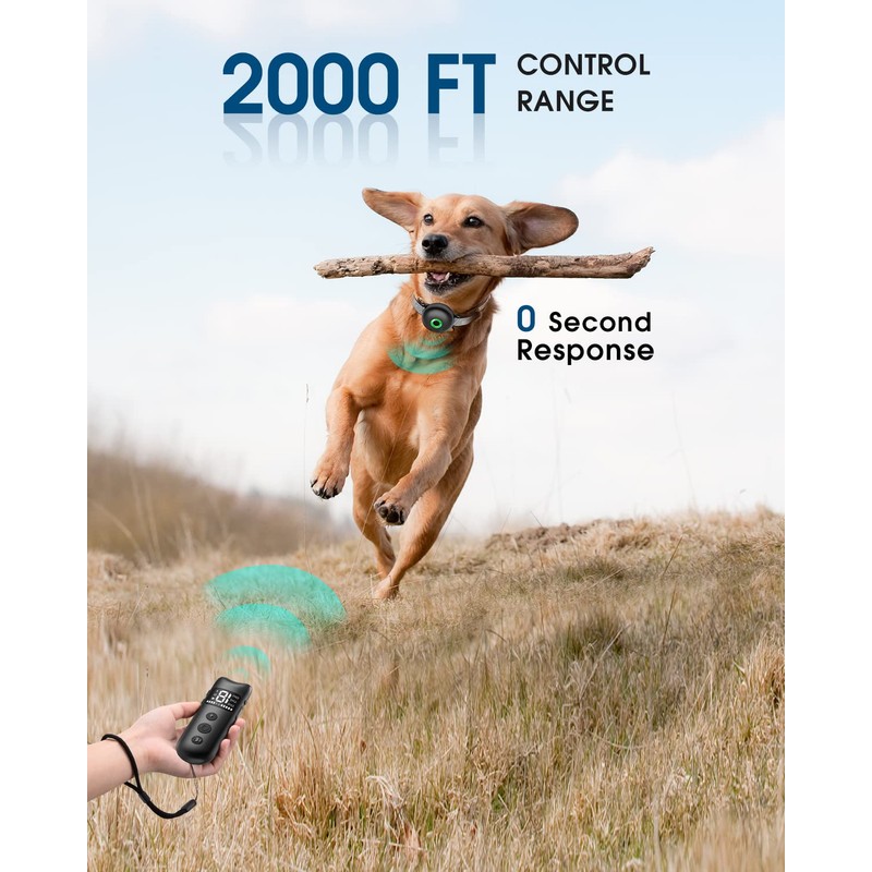 Dog Shock Collar Training with Remote, for Large Medium Small