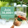 Unique Cardinal Bird Feeder for Outdoors - Designed for Cardinals