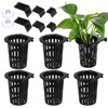 Lyksgir 6 Pack Large Aquarium Plant Holder with Extension Hooks(3
