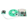 Writeable Sound Chip, Sound Voice Recording Playback Module with Double-Sided