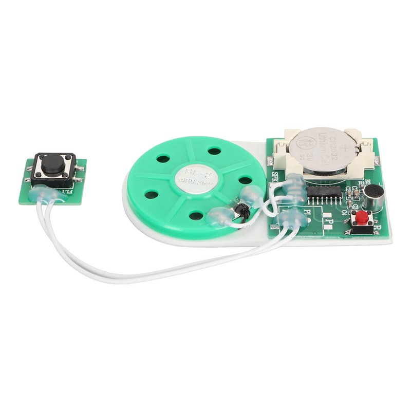 Writeable Sound Chip, Sound Voice Recording Playback Module with Double-Sided