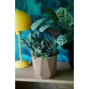 elho B.for Rock 14 - Flower Pot for Indoor -