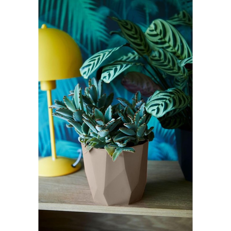 elho B.for Rock 14 - Flower Pot for Indoor -