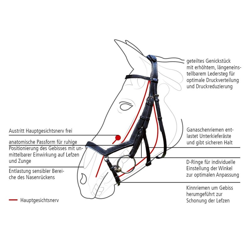 BUSSE Trense FEELING