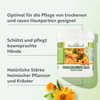 Kräuterhof® Marigold Ointment Duo Set (2 x 250 ml) -