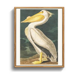 crmotu Bird Framed Wall Art, White Pelican Vintage Decor Paintings, Nature Animal Canvas Art Prints, Still Life Aesthetic Pictures Wall Decor Living Room Bedroom Bathroom Farmhouse Cottage, 12x16inch